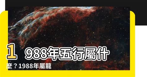 1988 土龍|【1988年五行】1988年五行屬什麼？龍年出生五行缺什麼？